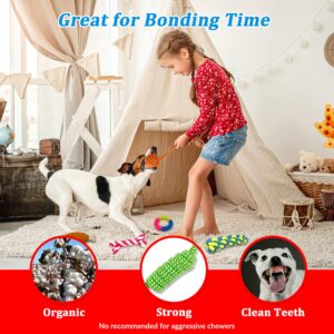 ELLAMI Toys Set for Small Dogs, 20 Packs Puppies Toys, Dental Ball for Puppies, Chewing Dog Toys for Puppies, Durable Ropes, Plush Toys for Dogs, Teething Toys, Ring Dog Toy.