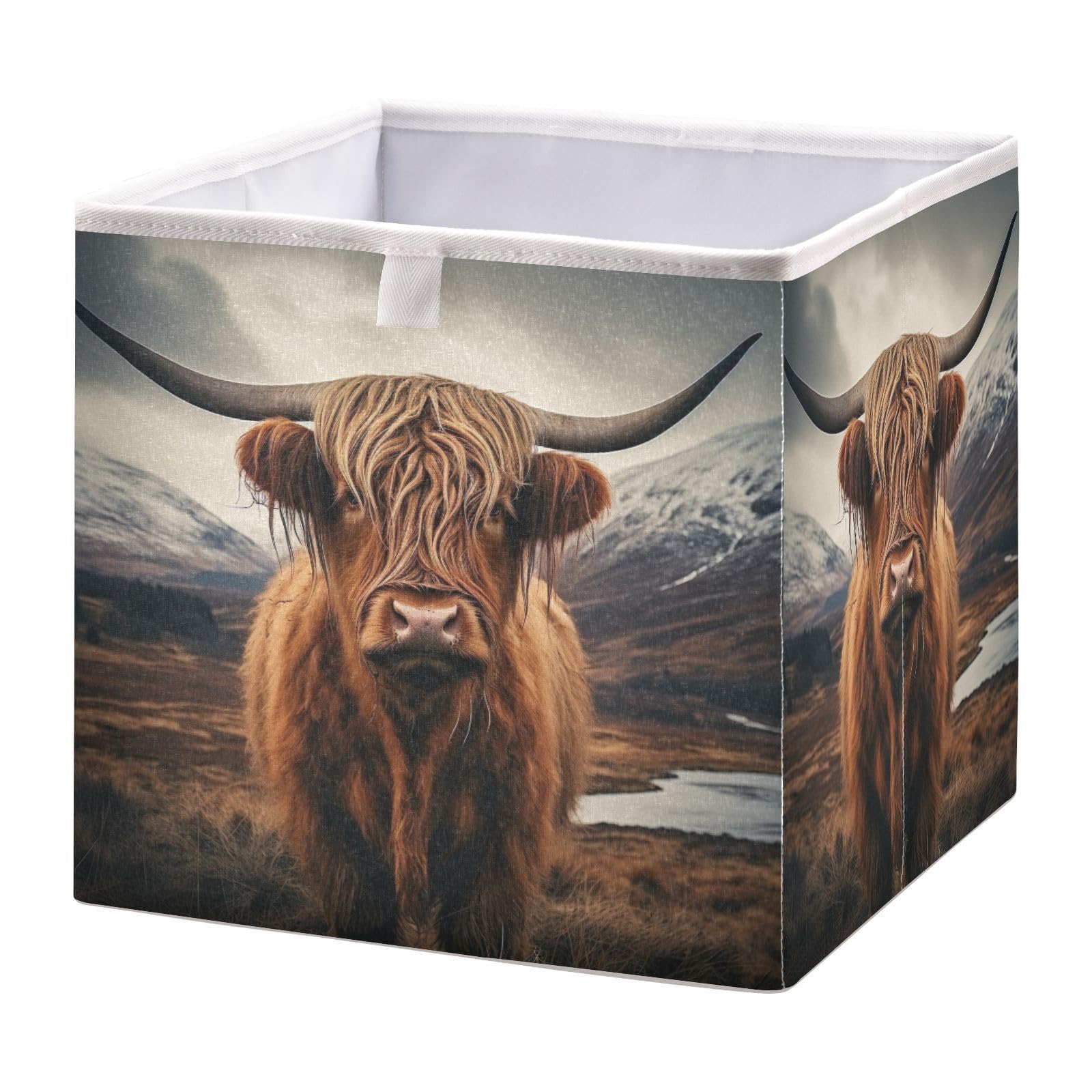 Haskirky Highland Cow Foldable Collapsible Storage Box Bins,11x11x11 Inch Cubes Baskets Fabric Storage Bins with Handles for Shelves Nursery Closet Home Decor