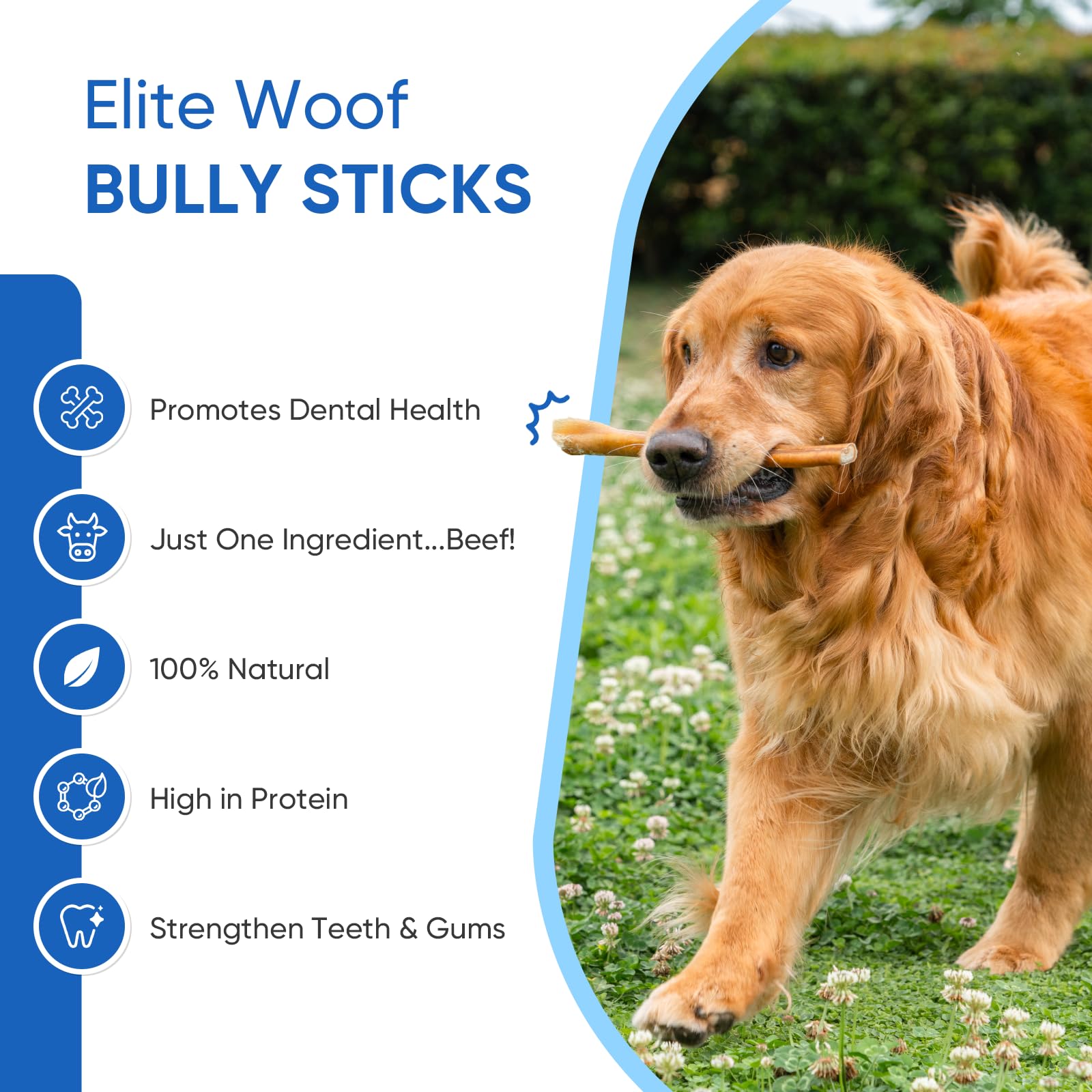 Elite Woof Bully Sticks for Dogs Puppies - 6 Inch Standard 100% Natural Dog Treats, Grass-fed Beef Dog Chews, Grain-Free, High Protein, Long-Lasting Pet Food for All Dog Breeds (6 Pack)