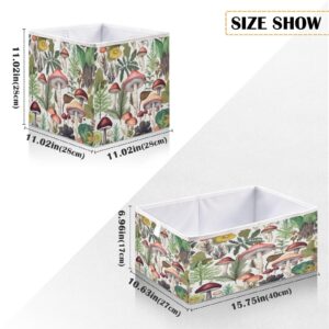 Haskirky Wild Mushroom Foldable Collapsible Storage Box Bins,11x11x11 Inch Cubes Baskets Fabric Storage Bins with Handles for Shelves Nursery Closet Home Decor