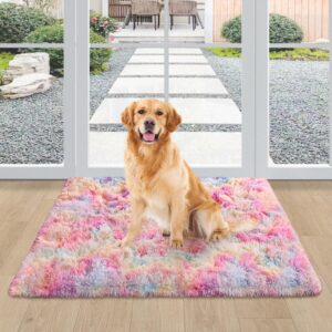 TENNOLA Shaggy Tie Dyed Light Rainbow Rug Small,2x3 ft Area Rugs for Living Room Door Entryway Indoor Inside Front Entrance Dog Mat Anti-Skid Extra Comfy Fluffy Floor Carpet for Home Decorative