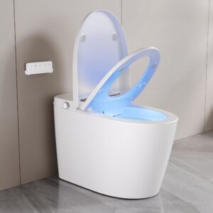 deervalley smart toilet, tankless elongated electric one piece toilet with smart bidet, smart toilet bidet seat 1.28 gpf for in white with seat heating, remote control