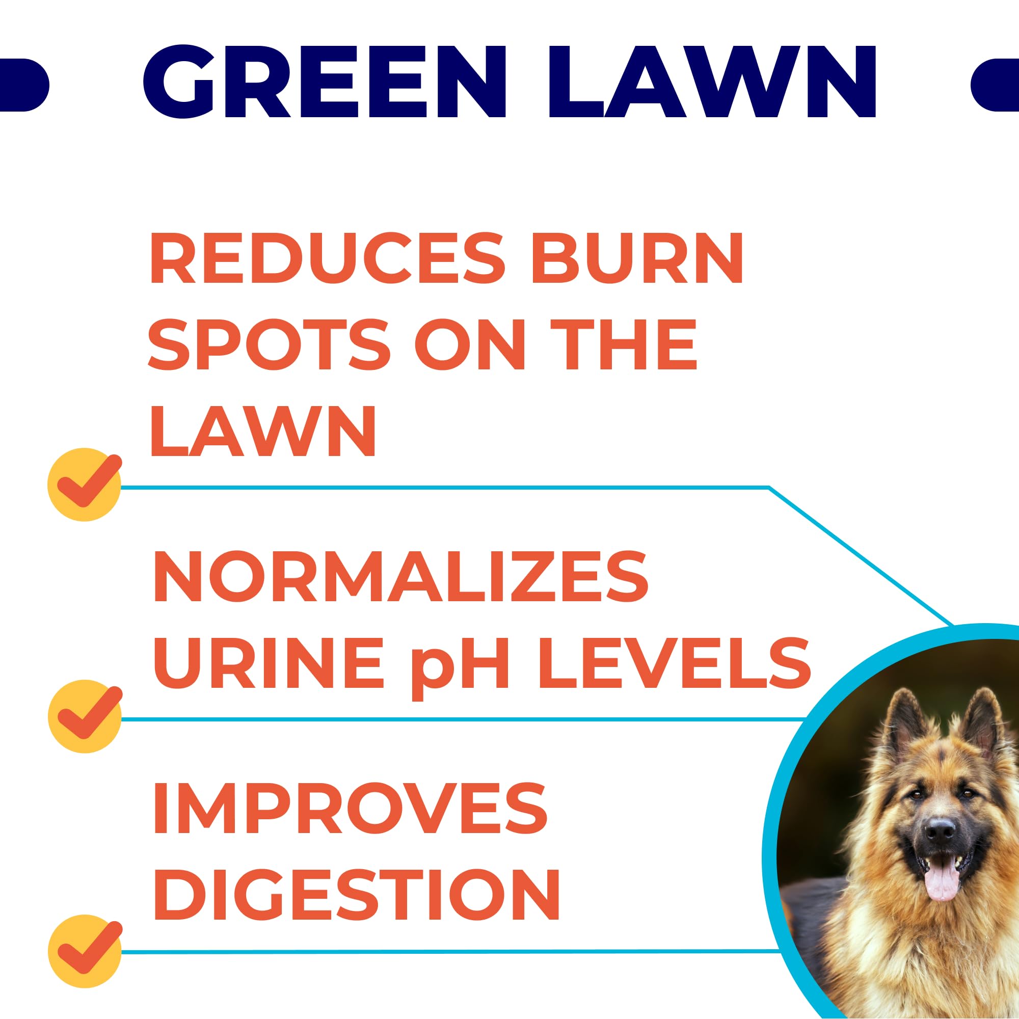 Omega 3 + Grass Burn Spot Dogs Bundle - Skin&Coat + Pee Lawn Spot Saver - EPA&DHA Fatty Acids + w DL-Methionine - Heart, Hip& Joint Support + Dog Pee Lawn Repair - 300 Chews - Made in USA