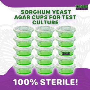 Zombie Mushrooms Sorghum Yeast Agar Cups (15)