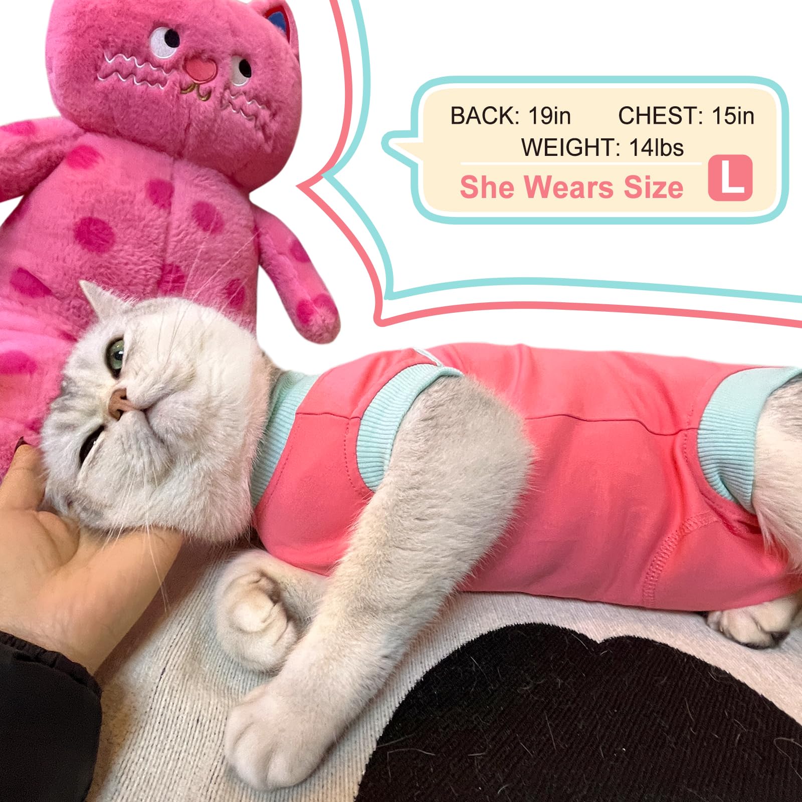 FUAMEY Cat Recovery Suit,Female Cat Spay Suit Kitten Surgery Onesie Cat Bodysuit Alternative to Cone Collars,Preventing Cats from Licking Abdominal Wounds Skin Protector Weaning Clothes Pink L