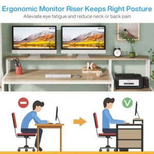 LITTLE TREE 63 Inch Computer Desk with File Drawer Cabinet, Home Office Desks with Ergonomic Monitor Stand