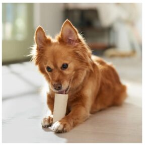 MPP Stuffed Peanut Butter Nutritious Refillable Shin Bones 4" Hard Dog Dental Chews (5 Bones)