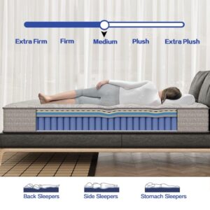 ZFHCBJ 12 Inch Full Size Mattress，Memory Foam Mattress，Hybrid Mattress in a Box，Full Mattress Medium Firm for Good Night Sleep，Pressure Relief，CertiPUR-US Certified (Full)