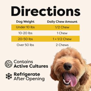 Doc Itchy: Allergy Armor Itch Recovery Probiotic | Dog Chews | Clinical-Strength, Medically Researched | Restore Gut & Skin Health | Effective for Allergy & Itch | Food Allergy Safe | Vegan | 90 Count