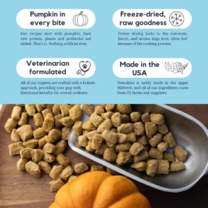 Nutrakins Salmon & Pumpkin Topper for Dogs - Freeze Dried Dog Treats & Toppers, Raw Mixers for Meals, Healthy for Picky Eaters, Natural & Wholesome Protein Add Ins, Digestive Health, Fish Oil