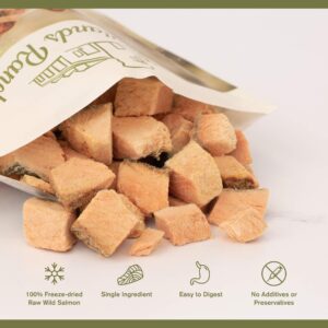 BADLANDS RANCH - Superfood Bite, Freeze-Dried Raw Dog Treats - Protein Rich, Train & Reward, Traceable Single Ingredient by Katherine Heigl (Wild Salmon)