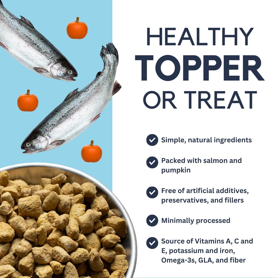 Nutrakins Salmon & Pumpkin Topper for Dogs - Freeze Dried Dog Treats & Toppers, Raw Mixers for Meals, Healthy for Picky Eaters, Natural & Wholesome Protein Add Ins, Digestive Health, Fish Oil