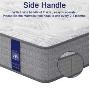 ZFHCBJ 12 Inch Twin XL Mattress Memory Foam Mattress，Hybrid Mattress in a Box，Twin XL Size Mattress Medium Firm for Good Night Sleep，Pressure Relief，CertiPUR-US Certified