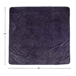 Lavish Home Waterproof Blanket - 80x80 King-Size Blanket for Kids, Pets, and Outdoors - Throw Blanket for Bed, Couch, Chair and Car (Purple)