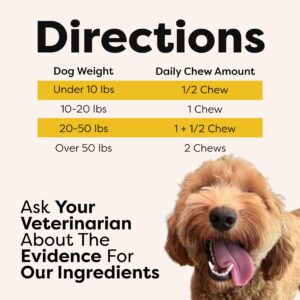 Doc Itchy: Allergy Armor Itch Defense Dog Pet Chews | Clinical-Strength Medical Zinc + P.E.A. | Vit E & Rosemary Extract | Reduce Itch & Pain Suffering | Control Allergy | Food Allergy Safe | 90 count