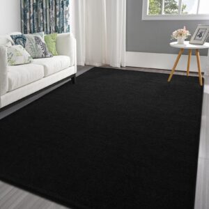 pettop area rugs for bedroom living room, 5x7 black thickened memory-foam indoor carpets, modern aesthetic minimalist super soft comfy carpet for boys girls adults room dorm home decor