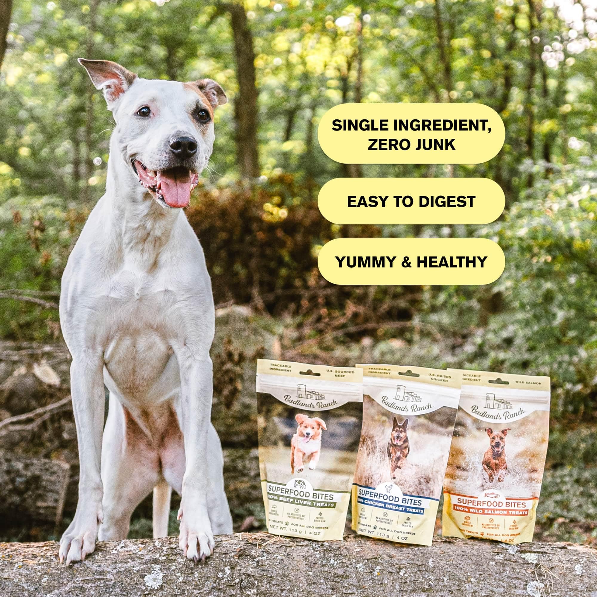 BADLANDS RANCH - Superfood Bite, Freeze-Dried Raw Dog Treats - Protein Rich, Train & Reward, Traceable Single Ingredient by Katherine Heigl (Wild Salmon)