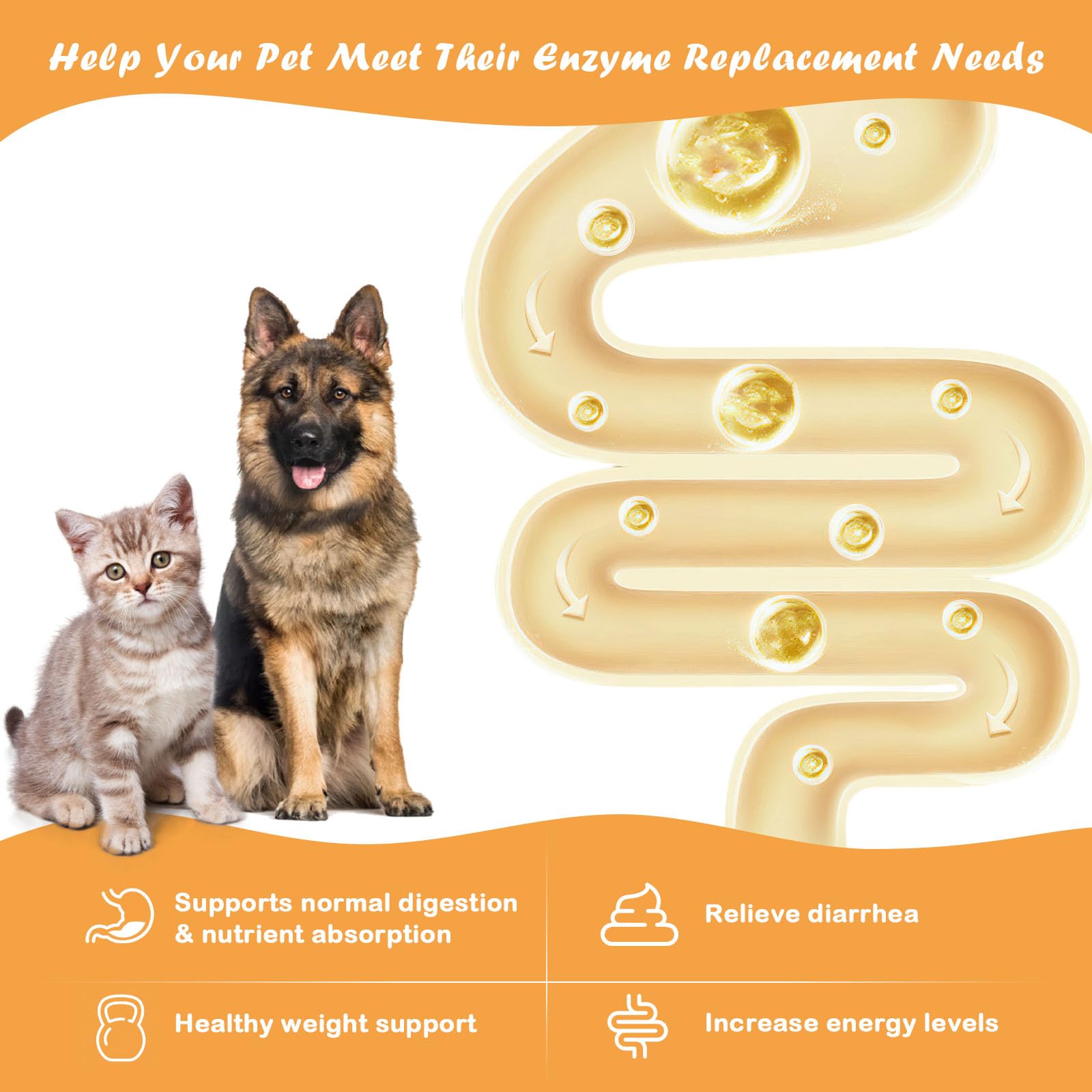 8.8 Ounces Pancreatic Enzymes for Dogs | 10x Pancreatin Formula |Dog Digestive Enzymes for EPI Pets | Support Digestive Stress, Pancreatic Concerns, and Healthy Weight Management