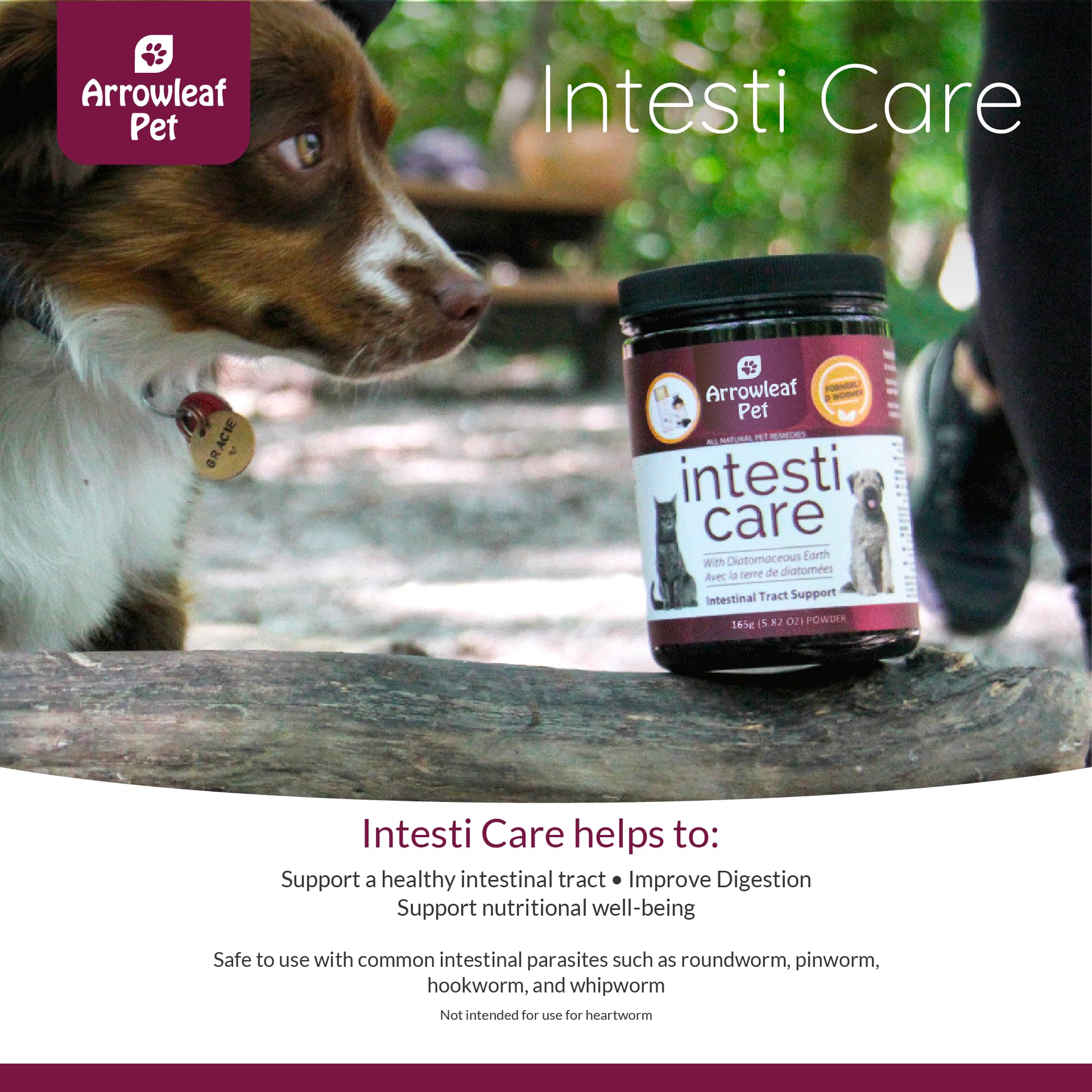 Arrowleaf Leaf Intesti Care by NaturPet Inc for Dogs & Cats | Natural Alternative to Chemical Wormers | Promotes a Healthy intestinal Tract | Contains Diatomaceous Earth | 165g