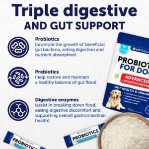 Probiotics for Dogs - Support Gut Health, Allergies, Immunity, Yeast Balance - Dog Probiotics and Digestive Enzymes with Prebiotics - Reduce Diarrhea - 30 Sticks