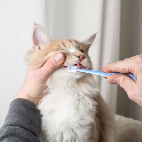 2 Pcs Small Dog Toothbrush Cat Tooth Brush 360 Degree Soft Silicone Pet Toothbrush Tiny Toothbrush Cat Dental Care Puppy Dogs Pet Tooth Cleaning Kit Deep Clean for Small Dog & Cat (Pink+Blue)