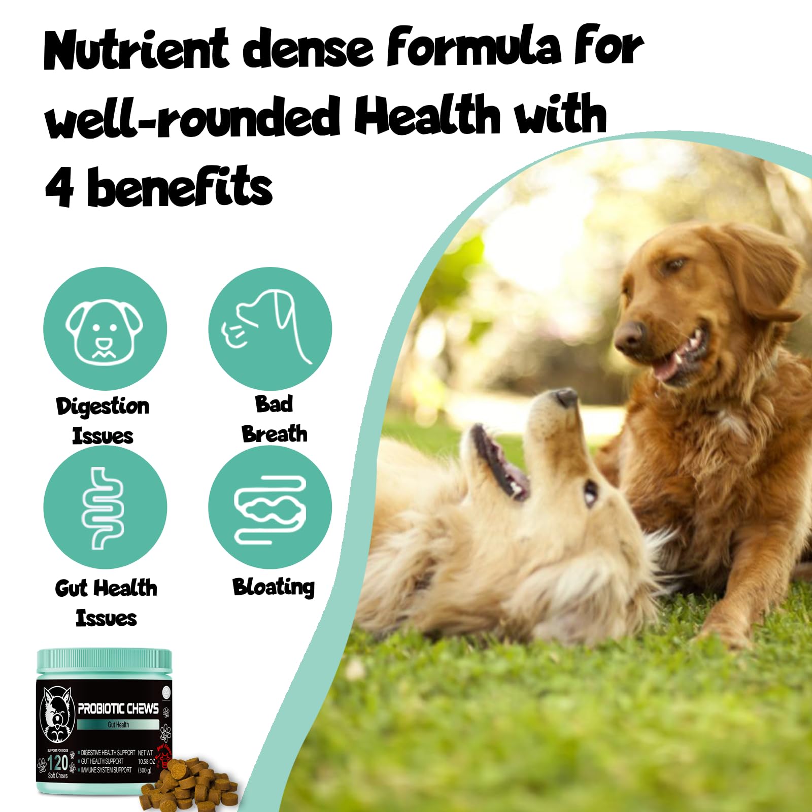 V-EST Probiotics for Dogs - Probiotic Chews for Dogs - Gut Health for Dogs - probiotico para perro - Digestive enzymes for Dogs - Dog probiotics - Dog Health Supplies - Dog Gut Health