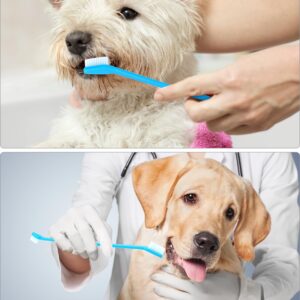 QWORK Double-Headed Pet Toothbrushes for Dogs and Cats, 8.66" Length, Soft Nylon Bristles, Blue, Dental Care Cleaning Kit for Pets, 200 Pcs