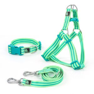 Tiffpaws Striped 3-in-1 Suit Dog Collar, Harnesses & leashes Personalize Dog Collar for Dog Easy Cute Dog Leash Small Dog Collar Medium Dog Harness (Green, L)