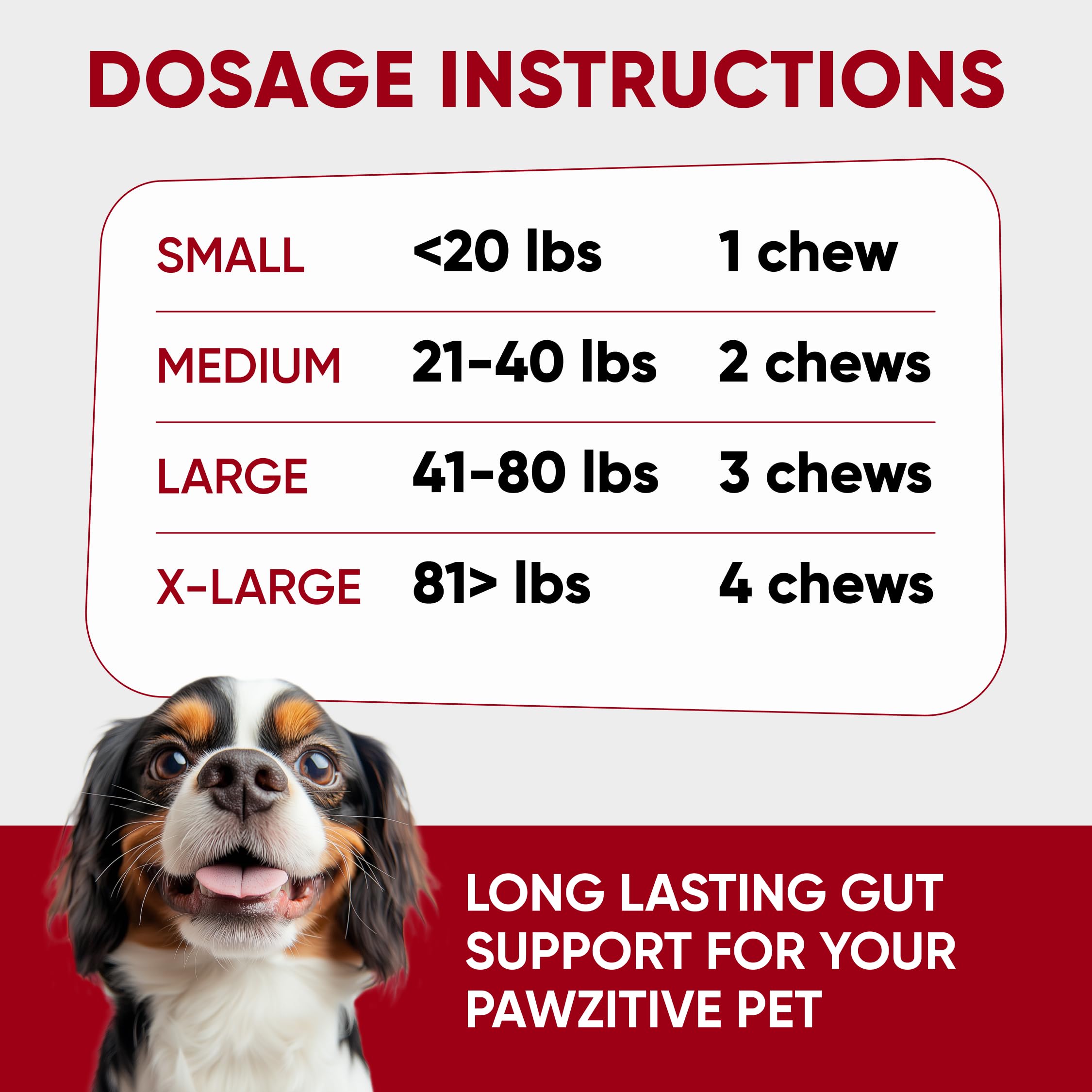 Probiotics for Dogs Digestive Health - Probiotic Chews for Gut Health, Itchy Skin Yeast, Diarrhea - USA Product - Immune Support Supplement - Dog Digestive Support Chewable Probiotic & Enzymes