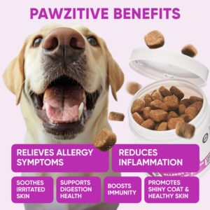 Dog Allergy Relief Chews for Itchy Skin - Allergy Chews for Shedding, Licking Paws, Hot Spot, Itchy Skin and Ears - USA Product - Omega 3 Fish Oil Skin & Coat Supplement - Anti Itch Immune Treats