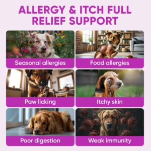 Dog Allergy Relief Chews for Itchy Skin - Allergy Chews for Shedding, Licking Paws, Hot Spot, Itchy Skin and Ears - USA Product - Omega 3 Fish Oil Skin & Coat Supplement - Anti Itch Immune Treats