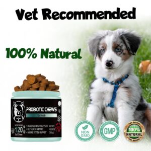 V-EST Probiotics for Dogs - Probiotic Chews for Dogs - Gut Health for Dogs - probiotico para perro - Digestive enzymes for Dogs - Dog probiotics - Dog Health Supplies - Dog Gut Health