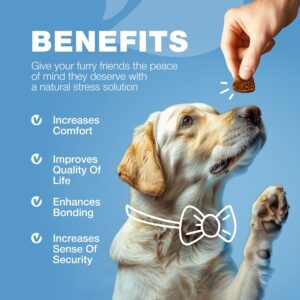 Hemp Calming Chews for Dogs - Dog Calming Treats - Anxiety Relief for Dogs - L-Theanine, Chamomile Extract, Valerian Root - Dog Anxiety Relief for Vet Visits, Travel, Thunderstorms, Nail Trimming