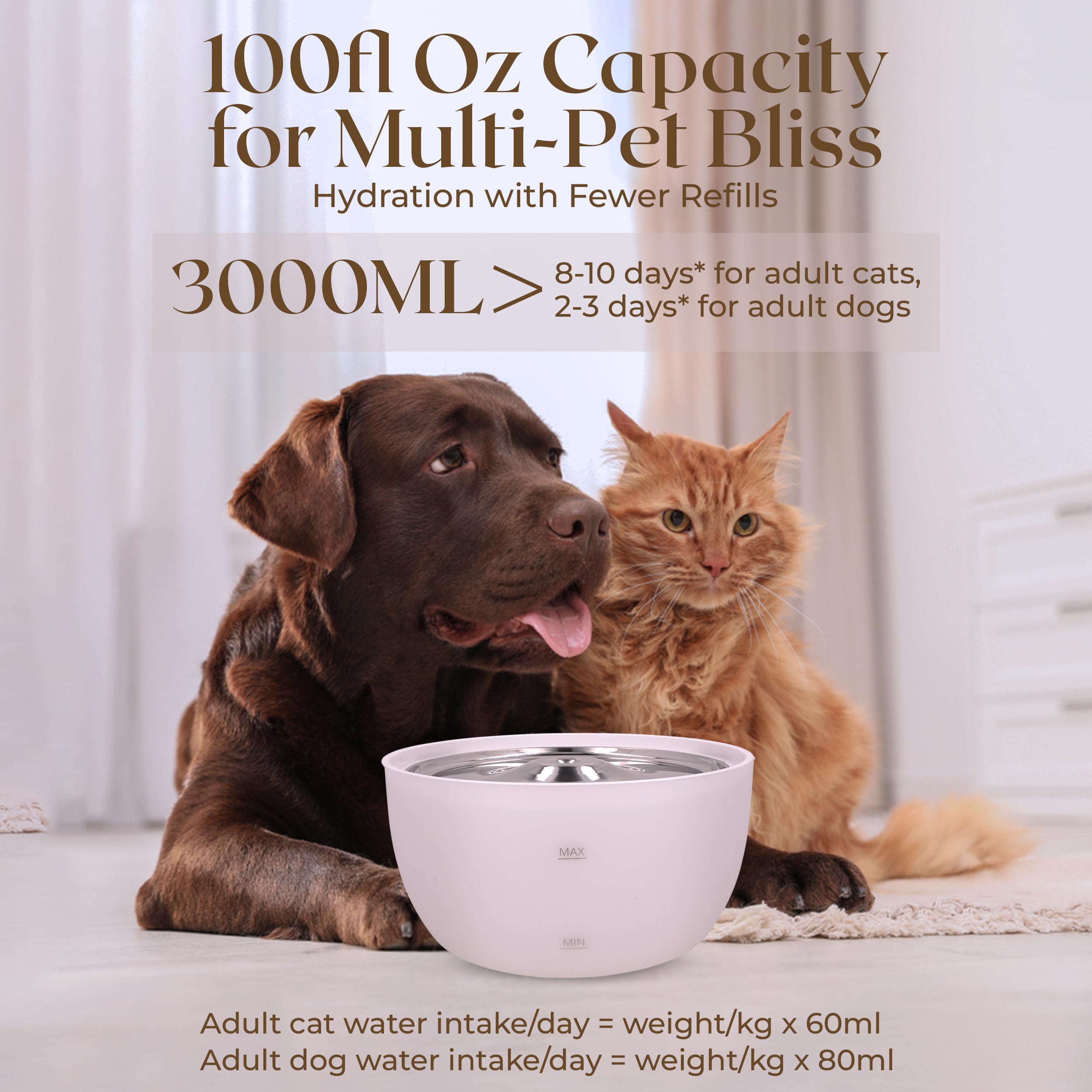 Standpoint Cat Water Fountain, 3L Ultra-Quiet Stainless Steel with White Bowl Dog & Cat Water Dispenser with Filter – Perfect for Pet Hydration