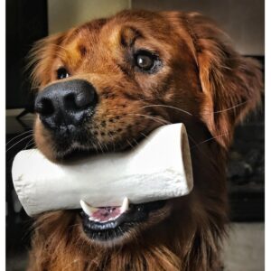 MPP Stuffed Peanut Butter 6 Inch Shin Dog Bones Refillable Nutritious Dental Chew (5 Bones)