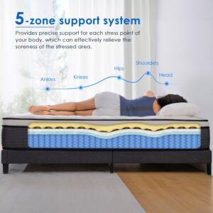 QUEEN ROSE Twin Size Mattress, 12 Inch Hybrid Mattress in a Box, Cooling Gel Memory Foam & Individually Pocket Innerspring, Medium Firm Twin Bed, CertiPUR-US Certified & Fiberglass Free