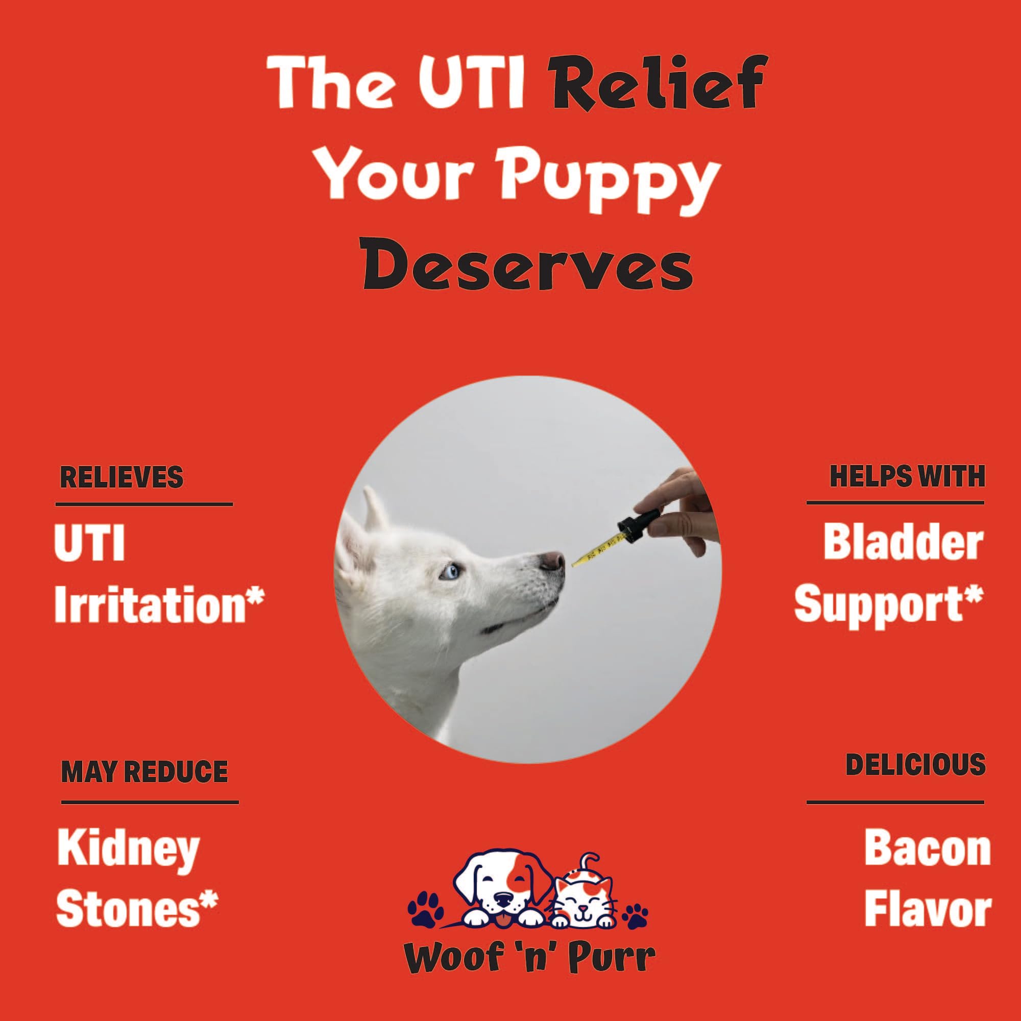 Natural Dog UTI Treatment - Dog UTI - Dog Urinary Tract Infection Treatment - UTI Dog Treatment - Dog UTI Supplement - Dog UTI Cranberry - Dog Cranberry Supplement - 1 fl oz - Bacon Flavor