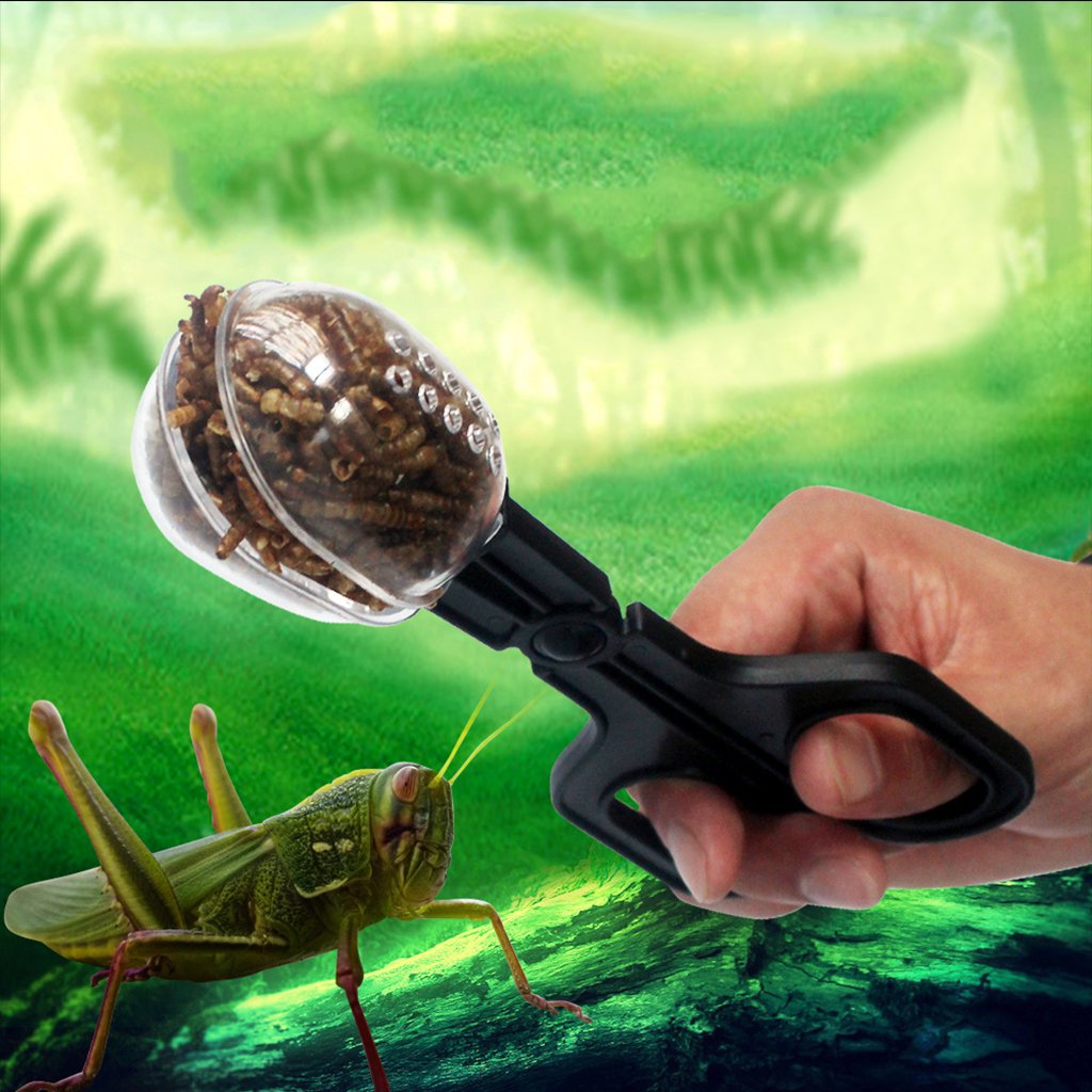 Reptiles Feeding Scooper Poop Cleaning Clamp Spoon-shaped Tips Feeder Tweezers For Snakes Lizard Tarantulas Reptile Supplies Pet Supplies Reptile Pet Supplies Amphibians Supplies Pet Health Pet