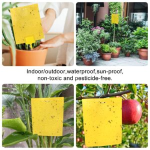 Sticky Fruit Fly Trap,Dual-Side Fruit Fly and Fungus Gnat Sticky Catcher Trap for Indoor Outdoor Fruit Fly,Fungus Gnats,Mosquito,Flying Insect Bug Pest,White Flies (Yellow-Large 20 pcs)