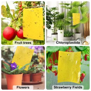 Sticky Fruit Fly Trap,Dual-Side Fruit Fly and Fungus Gnat Sticky Catcher Trap for Indoor Outdoor Fruit Fly,Fungus Gnats,Mosquito,Flying Insect Bug Pest,White Flies (Yellow-Large 20 pcs)