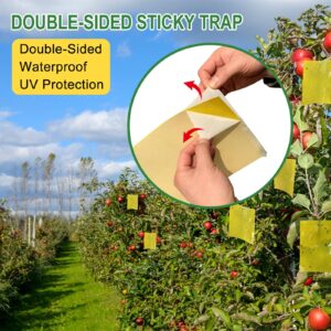 Sticky Fruit Fly Trap,Dual-Side Fruit Fly and Fungus Gnat Sticky Catcher Trap for Indoor Outdoor Fruit Fly,Fungus Gnats,Mosquito,Flying Insect Bug Pest,White Flies (Yellow-Large 20 pcs)