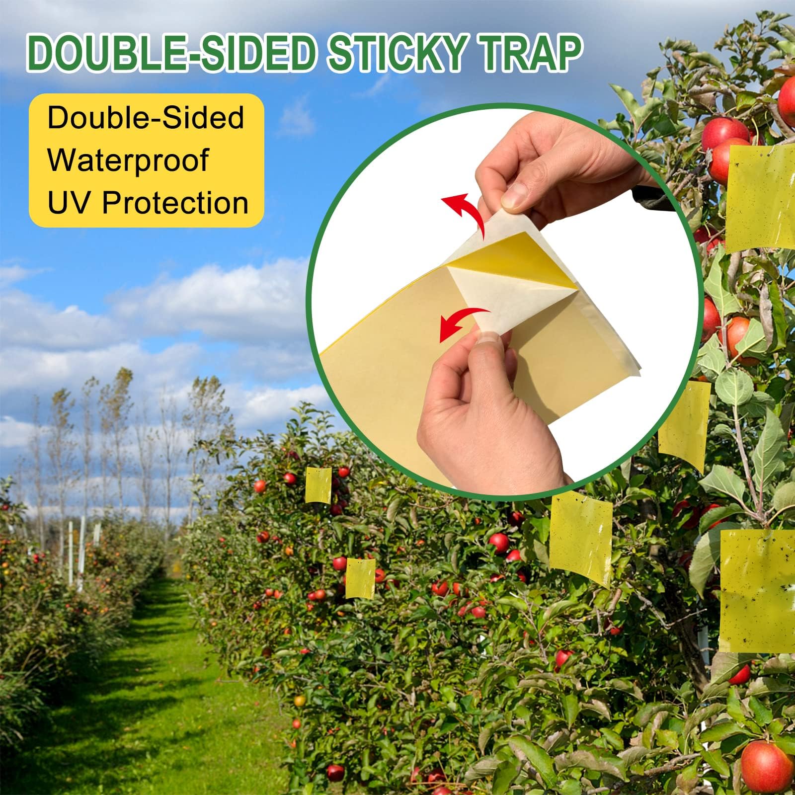 Sticky Fruit Fly Trap,Dual-Side Fruit Fly and Fungus Gnat Sticky Catcher Trap for Indoor Outdoor Fruit Fly,Fungus Gnats,Mosquito,Flying Insect Bug Pest,White Flies (Yellow-Large 20 pcs)