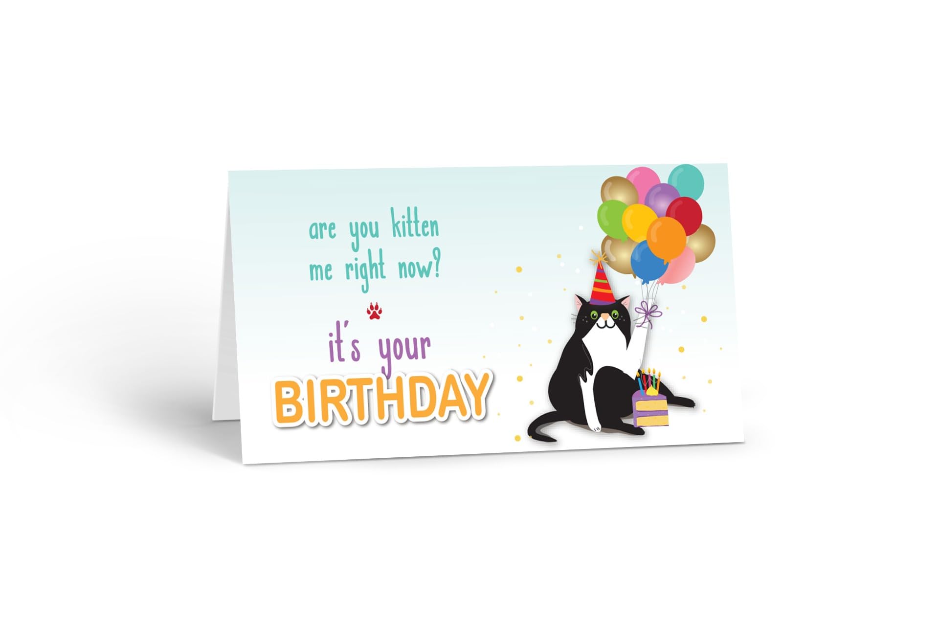 Stonehouse Collections | Happy Birthday Cat Table Tent Cards | Cat Lover Name Cards | Multi-Purpose, Table Decorations for Birthday Party | 25 Count (Tuxedo Cat Birthday)