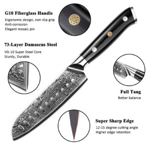 Sunnecko Damascus Chef Knife Japanese Santoku Knife 5 Inch Chopping Knife Vegetables, High Carbon Stainless Steel Knife with Gift Box