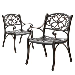 PATIO-IN 2 Pieces Patio Dining Chairs Cast Aluminum Bistro Chair Set, All Weather Outdoor Chair with Bronze MAluminum Frame for Outdoor Lawn Garden (Bronze)