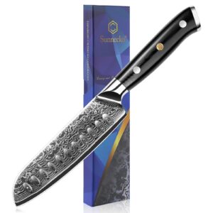 sunnecko damascus chef knife japanese santoku knife 5 inch chopping knife vegetables, high carbon stainless steel knife with gift box