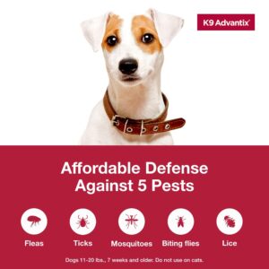 K9 Advantix Flea, Tick & Mosquito Prevention for Dogs 11-20 lbs. | Flea Drops for Medium Dogs | Apply Monthly | 2 Treatments