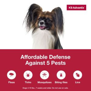 K9 Advantix Flea, Tick & Mosquito Prevention for Dogs 4-10 lbs. | Flea Drops for Small Dogs | Apply Monthly | 2 Treatments