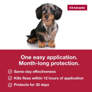 K9 Advantix Flea, Tick & Mosquito Prevention for Dogs 4-10 lbs. | Flea Drops for Small Dogs | Apply Monthly | 2 Treatments