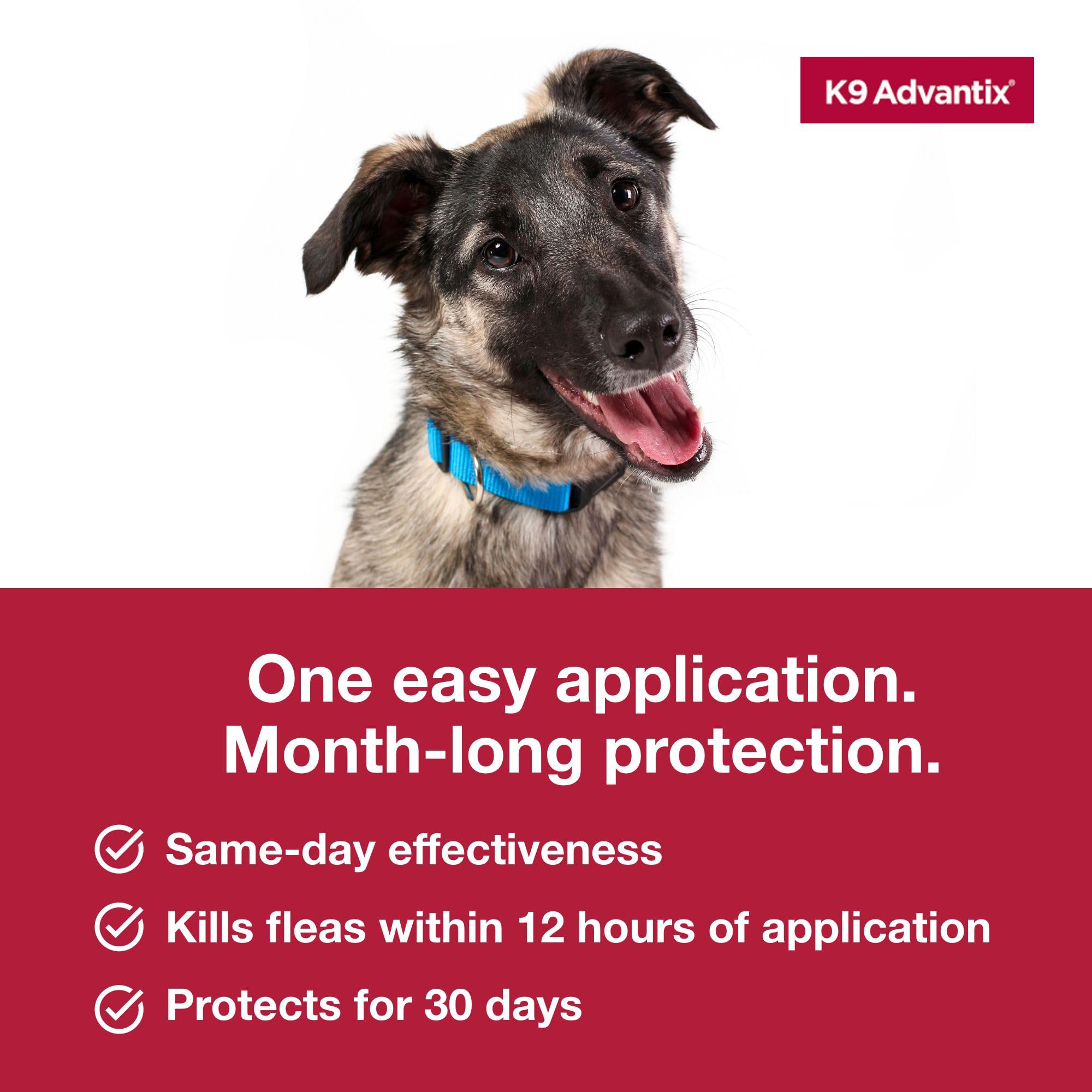 K9 Advantix Flea, Tick & Mosquito Prevention for Dogs 21-55 lbs. | Flea Drops for Large Dogs | Apply Monthly | 2 Treatments